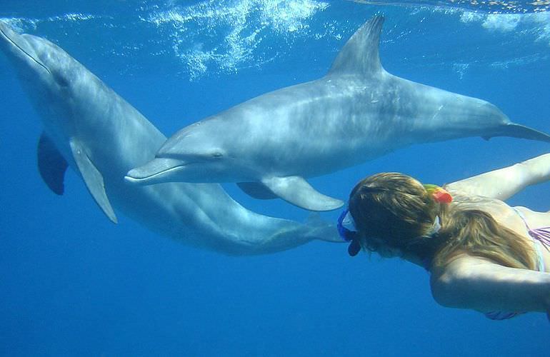 Private Delfin Tour in Hurghada- Privater Bootsausflug zum Schnorcheln