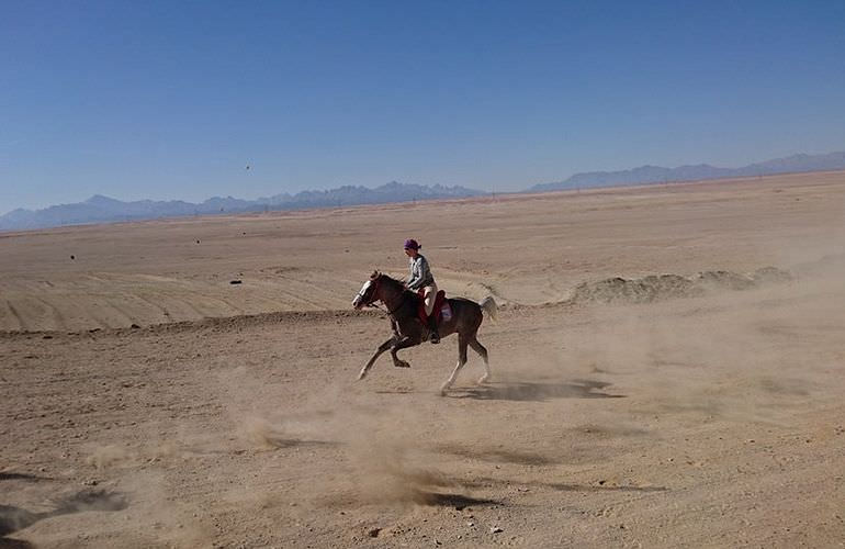 Pferde Reiten in Hurghada: Reiten am Strand oder in der Wüste