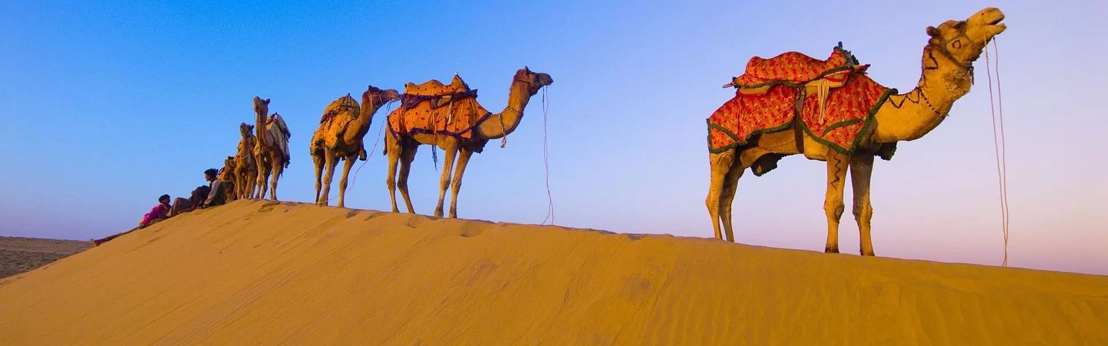 Die Top 10 Wüstentouren & Wüstensafari in Hurghada 2024